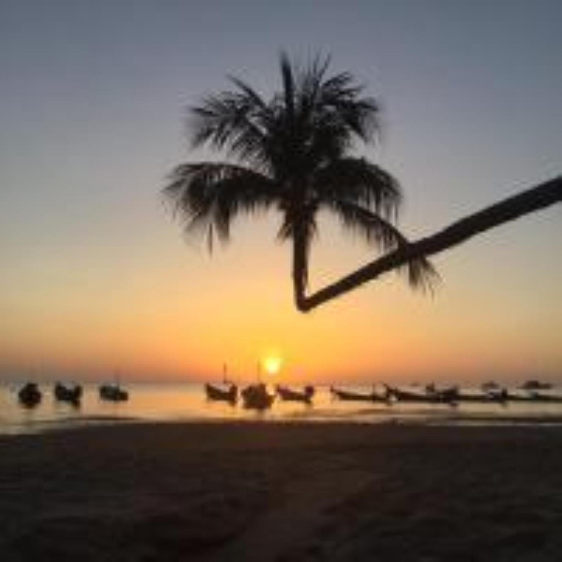 Lotus Hostel Beach Koh Tao Exteriör bild